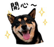842373882
