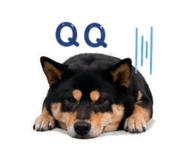 842373886
