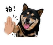 842373889