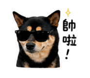 842373891
