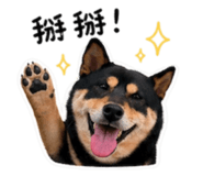 842373896