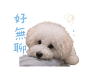 842374082