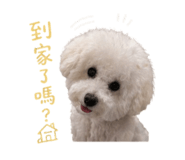 842374088