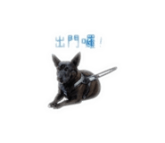 842374200