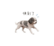 842374204