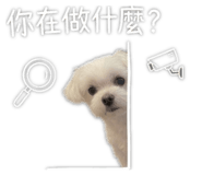 842374892