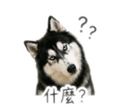 842374957