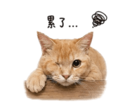 842374990