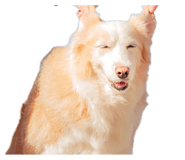 842375147