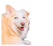 842375157