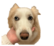 842375164