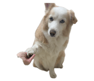 842375168