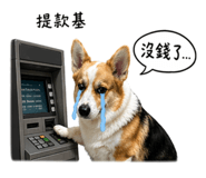 842375557