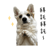 842375560