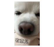 842375780