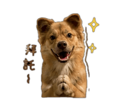 842375824
