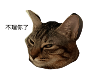 842376047