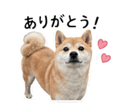 842376665