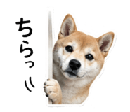 842376669