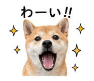 842376670