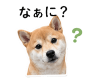 842376671