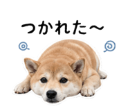 842376672