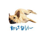842376677