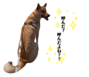 842376678