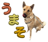 842376681