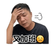 842376799