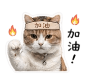 842376826
