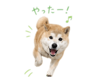 842376931