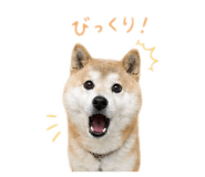 842376932