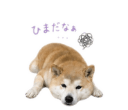 842376933
