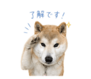 842376936