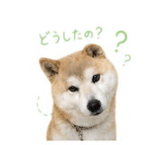 842376937