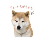 842376939