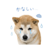842376940