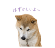 842376941