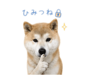 842376942