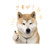 842376944