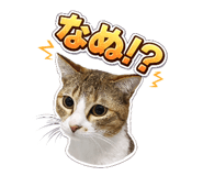 842377023