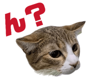 842377032