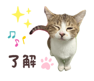 842377037