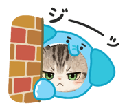 842377222