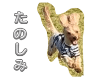 842377269