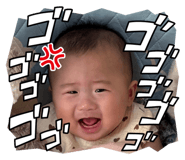 842377537