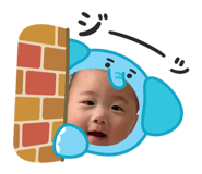 842377540