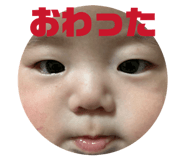 842377598