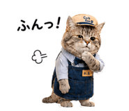 842377611